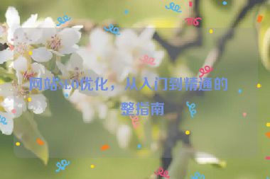 網(wǎng)站SEO優(yōu)化，從入門到精通的完整指南