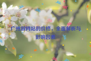 廣州做網(wǎng)站的價(jià)格，全面解析與影響因素