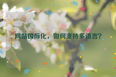 網(wǎng)站國際化，如何支持多語言？