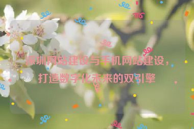 深圳網(wǎng)站建設(shè)與手機(jī)網(wǎng)站建設(shè)，打造數(shù)字化未來(lái)的雙引擎
