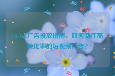 TikTok廣告投放指南，如何制作高轉(zhuǎn)化率的短視頻廣告？