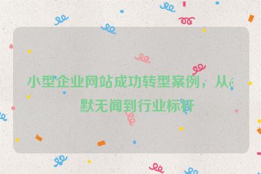 小型企業(yè)網(wǎng)站成功轉(zhuǎn)型案例，從默默無聞到行業(yè)標桿