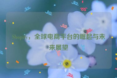 Shopify，全球電商平臺的崛起與未來展望
