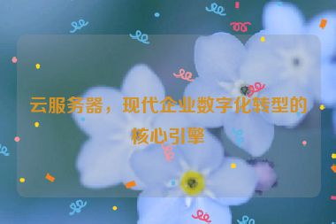 云服務(wù)器，現(xiàn)代企業(yè)數(shù)字化轉(zhuǎn)型的核心引擎