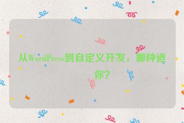 從WordPress到自定義開發(fā)，哪種適合你？