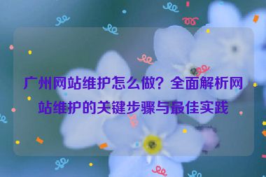 廣州網(wǎng)站維護(hù)怎么做？全面解析網(wǎng)站維護(hù)的關(guān)鍵步驟與最佳實踐