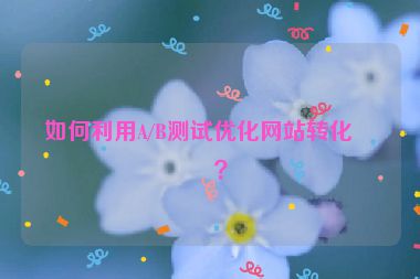 如何利用A/B測(cè)試優(yōu)化網(wǎng)站轉(zhuǎn)化率？
