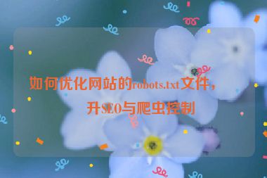 如何優(yōu)化網(wǎng)站的robots.txt文件，提升SEO與爬蟲控制