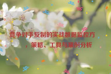 競爭對手反制的實(shí)戰(zhàn)數(shù)據(jù)監(jiān)控方案，策略、工具與案例分析