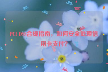 PCI DSS合規(guī)指南，如何安全處理信用卡支付？