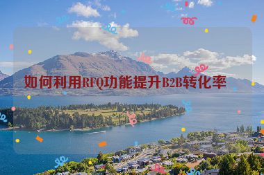 如何利用RFQ功能提升B2B轉(zhuǎn)化率？