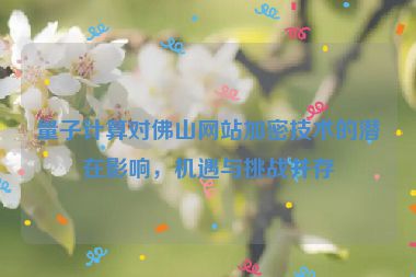 量子計(jì)算對(duì)佛山網(wǎng)站加密技術(shù)的潛在影響，機(jī)遇與挑戰(zhàn)并存
