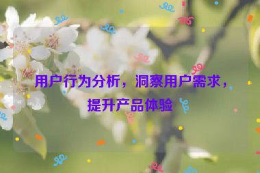 用戶行為分析，洞察用戶需求，提升產(chǎn)品體驗