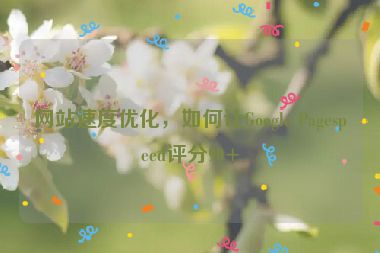 網(wǎng)站速度優(yōu)化，如何讓Google Pagespeed評分90+