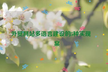 外貿(mào)網(wǎng)站多語言建設(shè)的5種實現(xiàn)方案