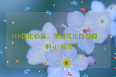 SEO優(yōu)化必備，如何優(yōu)化網(wǎng)站圖片的ALT標(biāo)簽？