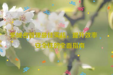 多域名管理最佳實踐，提升效率與安全性的全面指南