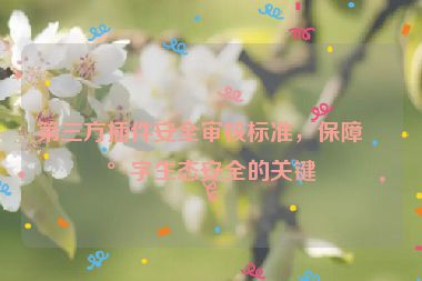 第三方插件安全審核標(biāo)準(zhǔn)，保障數(shù)字生態(tài)安全的關(guān)鍵