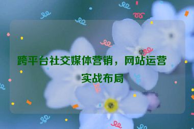 跨平臺社交媒體營銷，網(wǎng)站運營的實戰(zhàn)布局