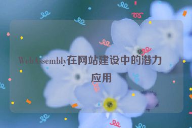 WebAssembly在網(wǎng)站建設(shè)中的潛力與應(yīng)用