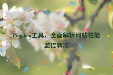 Pingdom工具，全面解析網站性能監(jiān)控利器