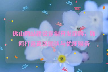 佛山網(wǎng)站建設(shè)定制開(kāi)發(fā)招聘，如何打造高效團(tuán)隊(duì)與優(yōu)質(zhì)服務(wù)