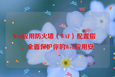 Web應(yīng)用防火墻（WAF）配置指南，全面保護你的Web應(yīng)用安全