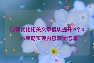 如何優(yōu)化相關(guān)文章模塊提升PV？5大策略實(shí)現(xiàn)內(nèi)容流量倍增