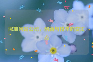 深圳網站公司，創(chuàng)新與技術的交匯點