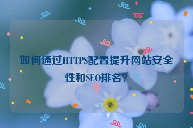 如何通過(guò)HTTPS配置提升網(wǎng)站安全性和SEO排名？