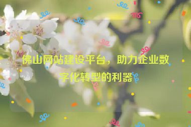 佛山網(wǎng)站建設(shè)平臺，助力企業(yè)數(shù)字化轉(zhuǎn)型的利器