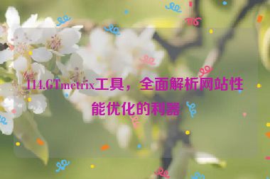 114.GTmetrix工具，全面解析網(wǎng)站性能優(yōu)化的利器