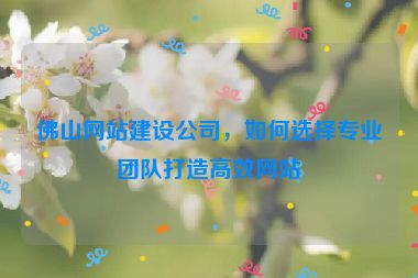 佛山網(wǎng)站建設(shè)公司，如何選擇專(zhuān)業(yè)團(tuán)隊(duì)打造高效網(wǎng)站