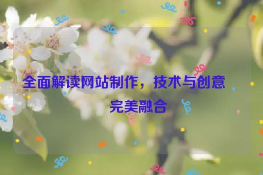 全面解讀網(wǎng)站制作，技術(shù)與創(chuàng)意的完美融合
