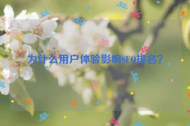 為什么用戶體驗影響SEO排名？