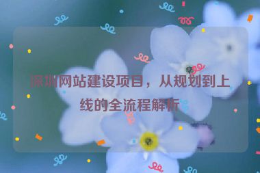 深圳網(wǎng)站建設(shè)項(xiàng)目，從規(guī)劃到上線的全流程解析