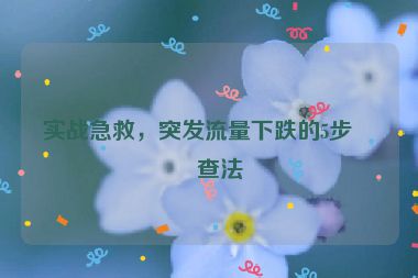實(shí)戰(zhàn)急救，突發(fā)流量下跌的5步排查法