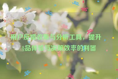 用戶反饋收集與分析工具，提升產(chǎn)品體驗與決策效率的利器