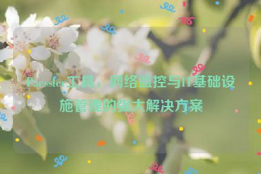 Paessler工具，網絡監(jiān)控與IT基礎設施管理的強大解決方案