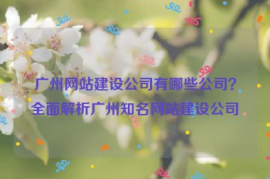 廣州網(wǎng)站建設公司有哪些公司？全面解析廣州知名網(wǎng)站建設公司