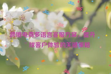跨境電商多語言客服方案，提升全球客戶體驗的關(guān)鍵策略