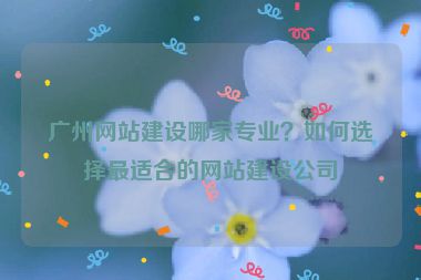 廣州網(wǎng)站建設(shè)哪家專業(yè)？如何選擇最適合的網(wǎng)站建設(shè)公司