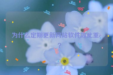 為什么定期更新網(wǎng)站軟件如此重要？