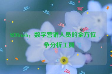 SEMrush，數(shù)字營(yíng)銷人員的全方位競(jìng)爭(zhēng)分析工具