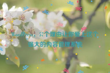 WordPress，57個理由讓你愛上這個強大的內(nèi)容管理系統(tǒng)