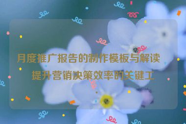 月度推廣報(bào)告的制作模板與解讀，提升營(yíng)銷決策效率的關(guān)鍵工具