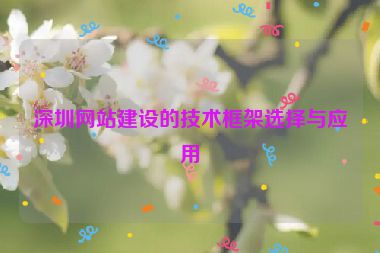 深圳網(wǎng)站建設的技術框架選擇與應用