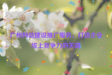 廣州網(wǎng)站建設(shè)推廣服務(wù)，打造企業(yè)線上競(jìng)爭(zhēng)力的關(guān)鍵