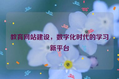 教育網(wǎng)站建設(shè)，數(shù)字化時(shí)代的學(xué)習(xí)新平臺(tái)
