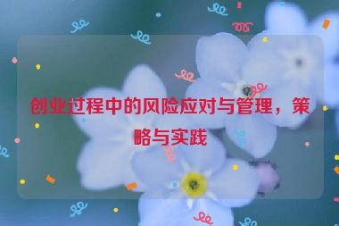 創(chuàng)業(yè)過程中的風(fēng)險(xiǎn)應(yīng)對(duì)與管理，策略與實(shí)踐